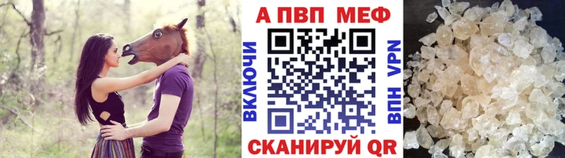 Alfa_PVP СК КРИС Славгород