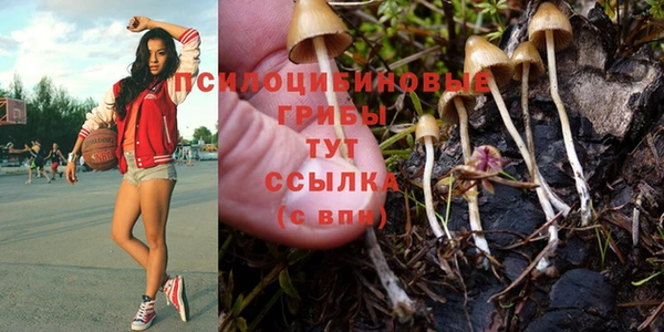 круглые Аркадак