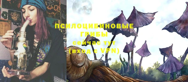бошки Армянск