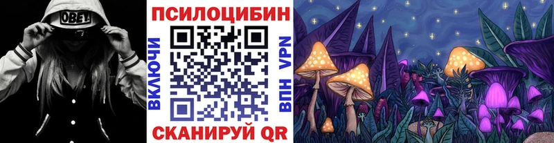 Псилоцибиновые грибы GOLDEN TEACHER  даркнет сайт  Славгород 