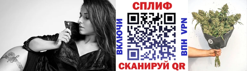 Марихуана сатива  Славгород 
